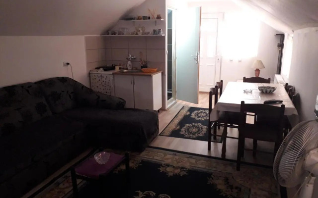 Guest House Vila Banjica