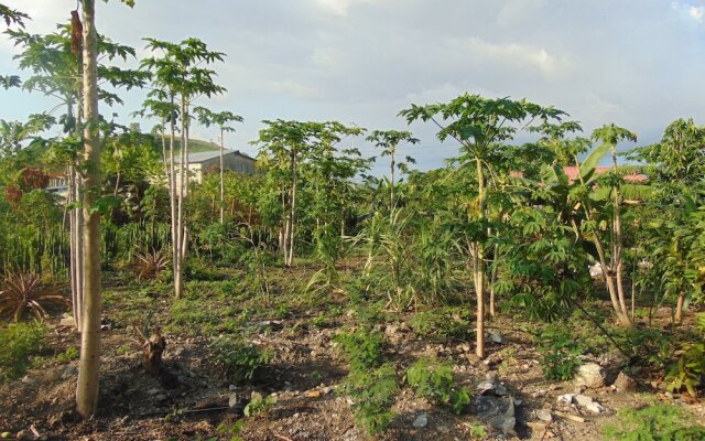 Residêncial Tamarindos