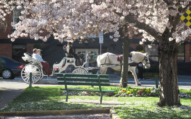 James Bay Inn Hotel & Suites