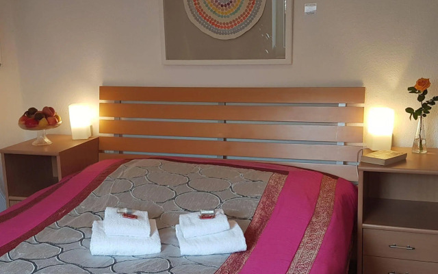 RheinRiver Guesthouse - Direkt am Rhein