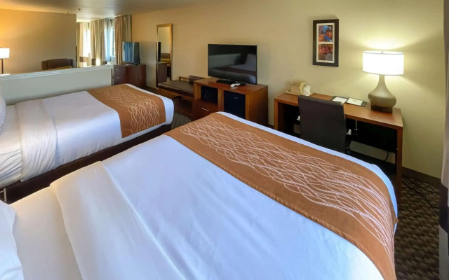 Comfort Inn & Suites Midtown