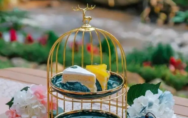 Pangthara65 Chiang Mai