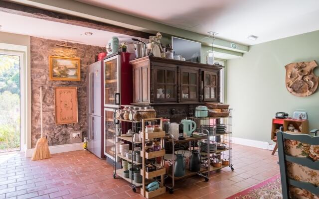 Villa Camelia Boutique House