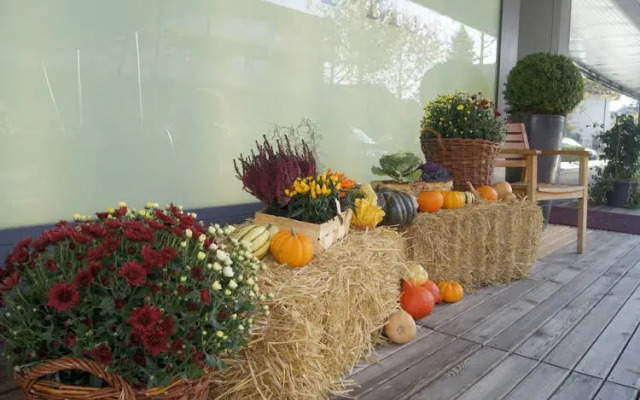 Senevita Residenz Multengut Muri