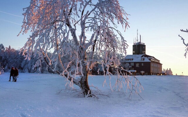 Modern Apartment on a 10-minute Walk From Winterberg