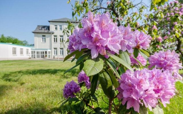 Hotel Siegmar im Geschäftshaus