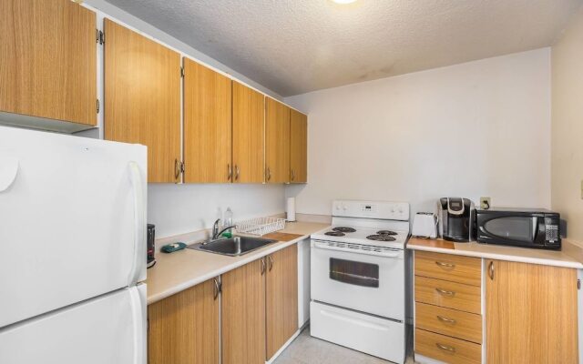 Spacious 1 BR Apartment of Downtown Toronto III