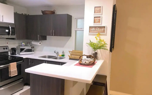 City View New Kingston Apartment w/ Pool