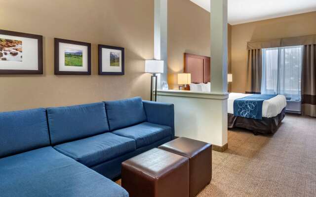 Comfort Suites Airport - University