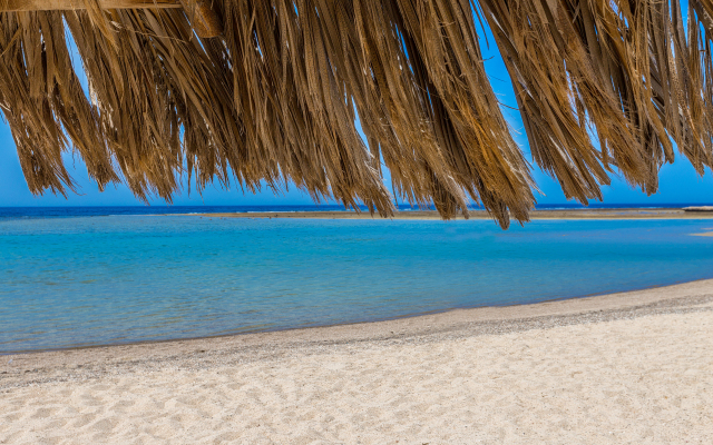 Utopia Beach Club
