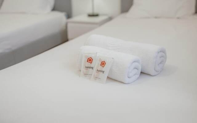 Typical House With Terrace by Homing