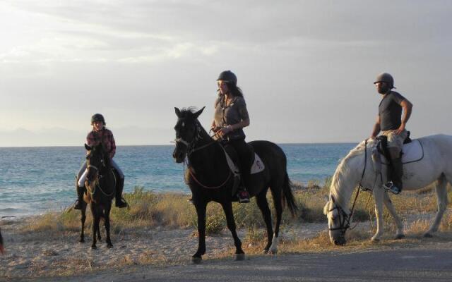 Ionian Breeze Studios