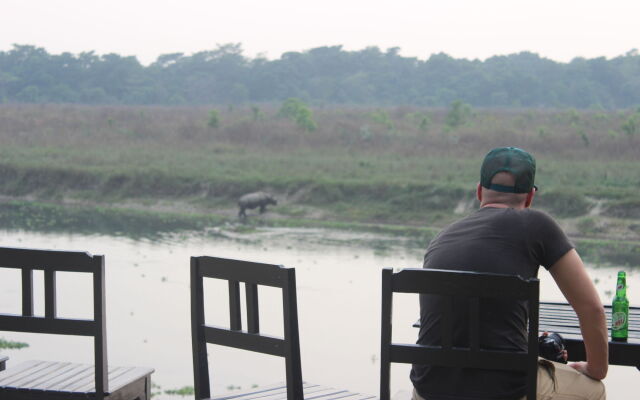 Jungle Wildlife Camp