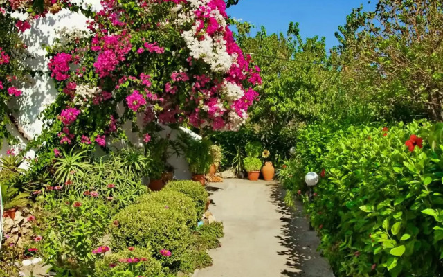 Paul's Garden Studios