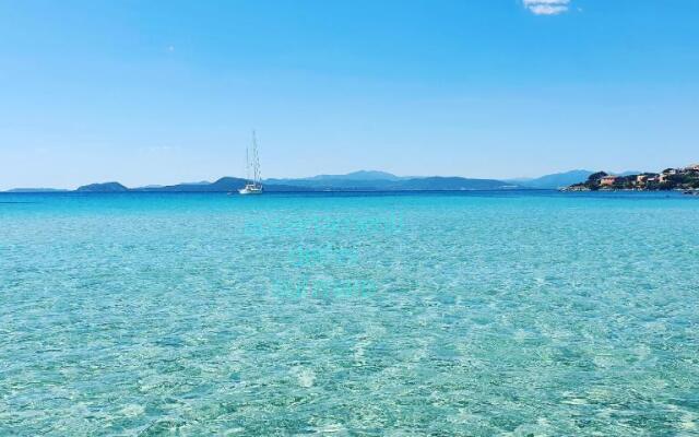 Appartamento delfini sul mare