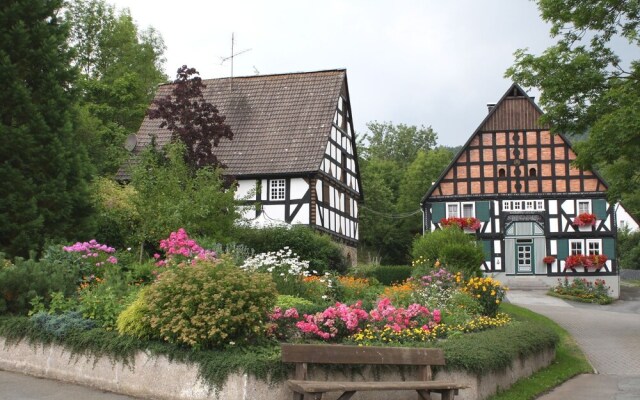 Modern Holiday Apartment Between Willingen And Winterberg with Private Terrace