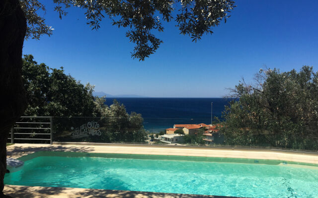 Ouzo Panoramic Houses 1, with private pool