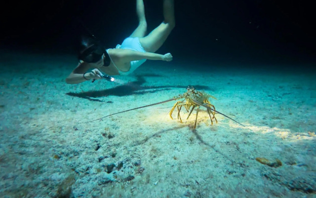 The Ritz-Carlton, Grand Cayman