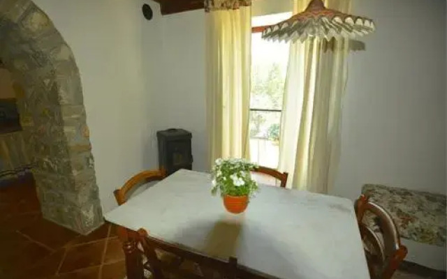 Apartments Cvita