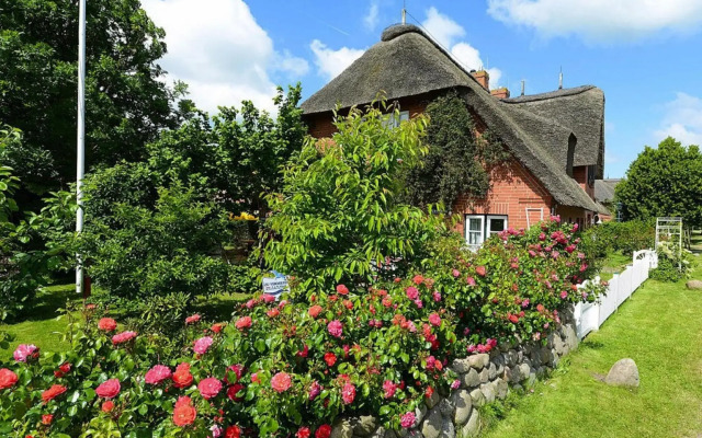 Apartment, Oevenum in Oevenum