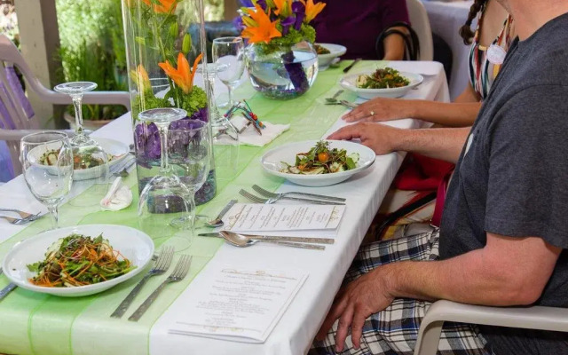 Chocolate Turtle B&B