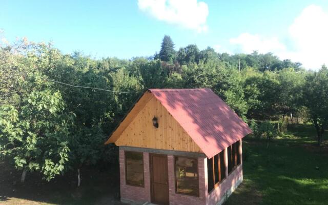 Villa ipo