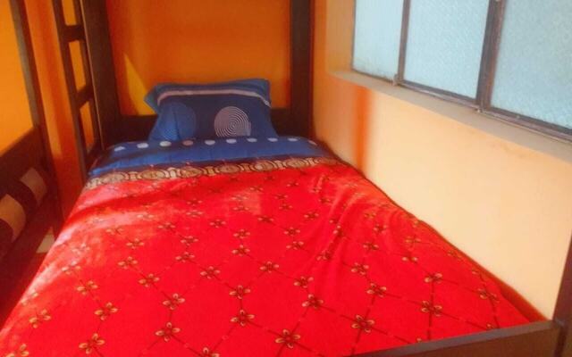Hidden Garden - Hostel