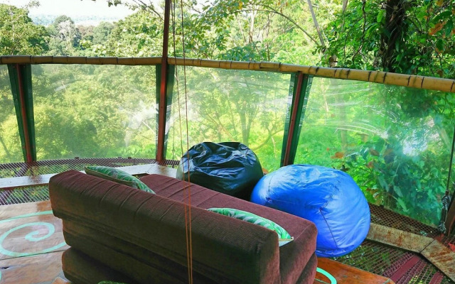 Nature Observatorio Amazing Treehouse