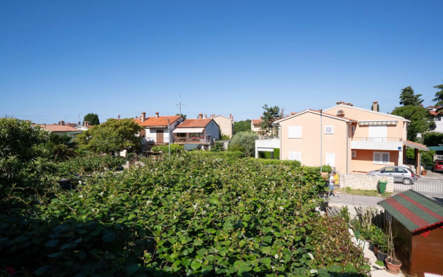 Sunny & Charming Apartment with 2 free bikes