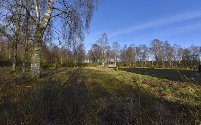 Forestview B & B