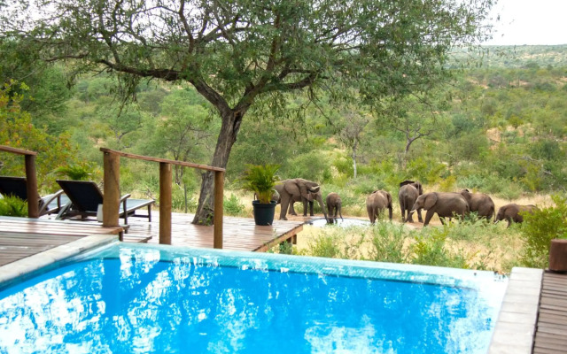 Casart Game Lodge