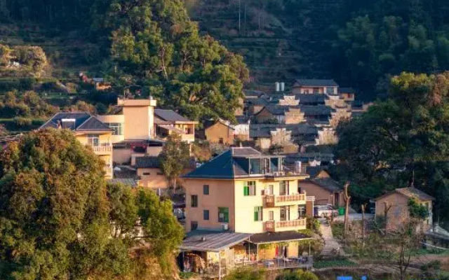 Songyang Weijun Farm Stay