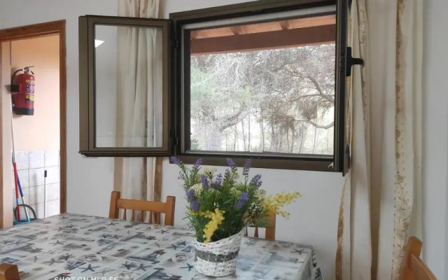 MAR I MONTANYA Formentera 2