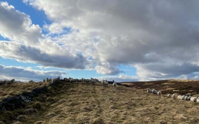 Traditional Bothy Accommodation