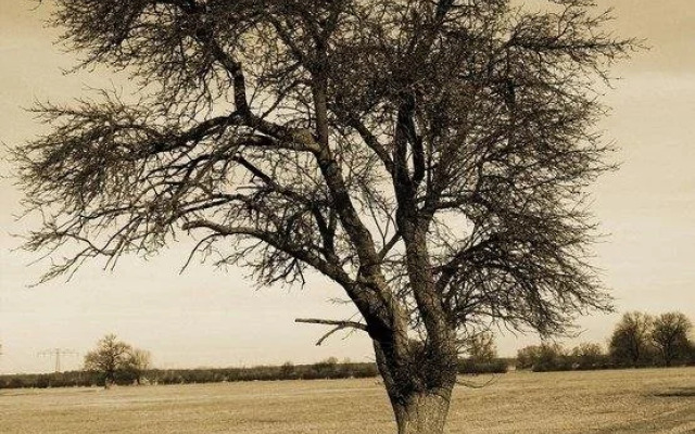 Landhotel Eichenkrug