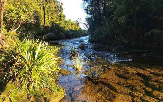 The House With No Nails