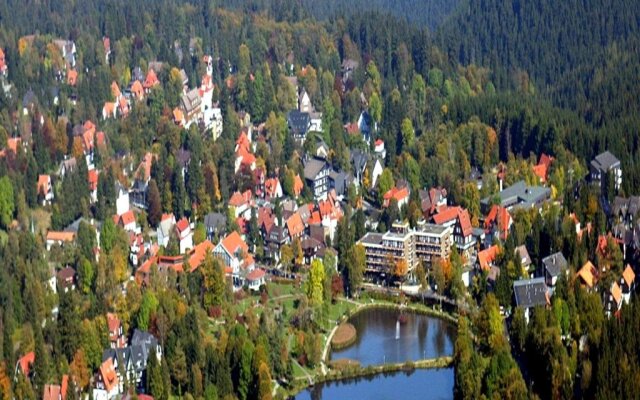 Haus Engel in Hahnenklee