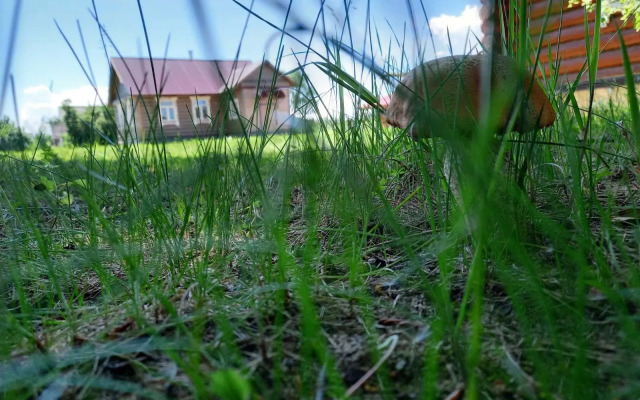 Дом в деревне Чернокуново