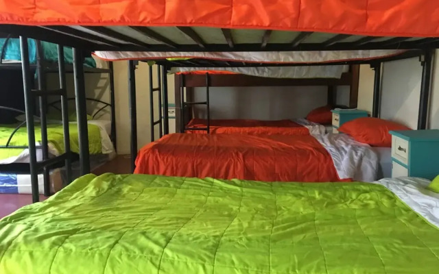 Greenhouse Hostel