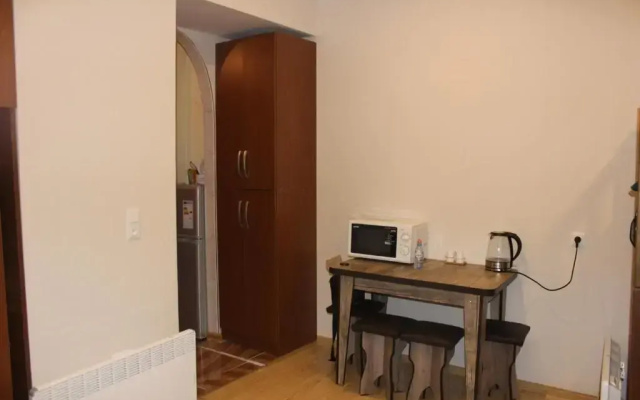 Comfortable Flat In The Center Of Borjomi