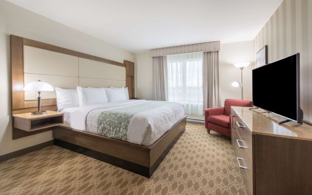 Hotel 11, MOD A Sonesta Collection - фото 3