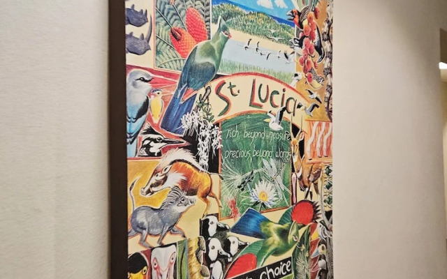 Birchway's Backpackers