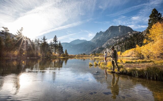 Silver Bear 21 Updated, Light and Bright, Walk to Canyon Lodge and Gondola by RedAwning