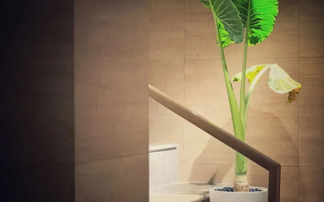 Hyatt Place Vijayawada