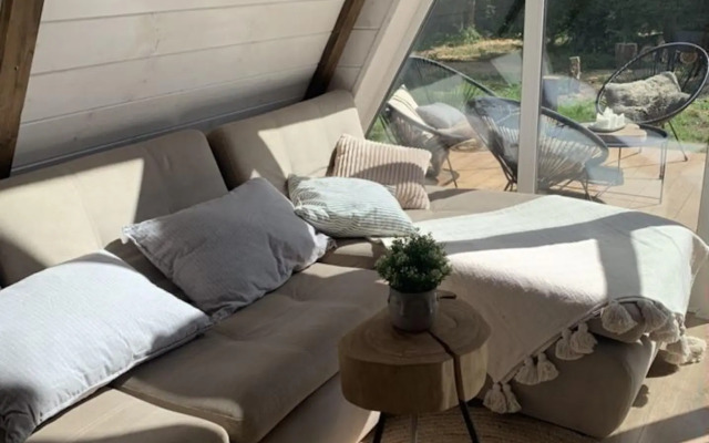 ShelestGlamp (Шелест)