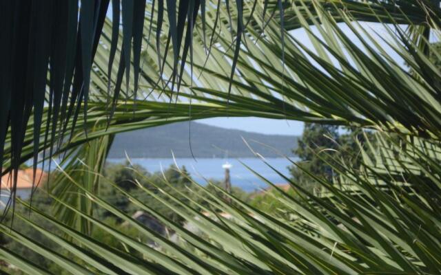 Apartments Vidakovic