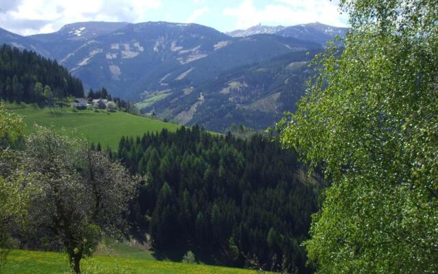 Bauernhof Pension Juri