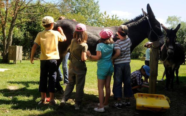 Le Village de Cottages - Le Pôle du Cheval et de l'Âne