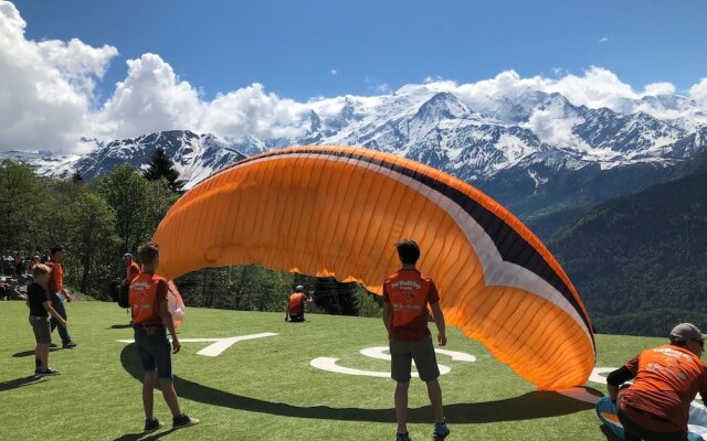Fizhome Mt Blanc