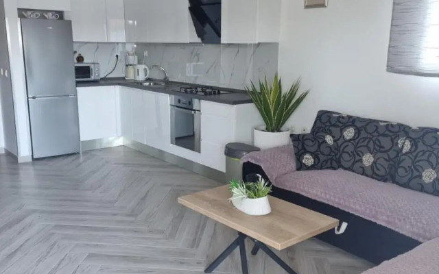 Apartments Ledic